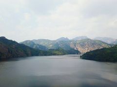 -燕塞湖鸟语林景区