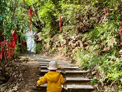 -少华山国家森林公园