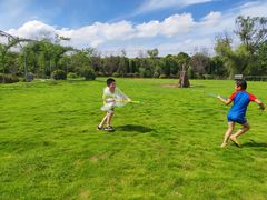 -上海长兴岛郊野公园