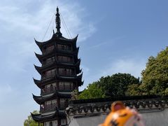 -观潮胜地公园