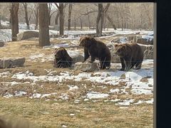 -北京野生动物园