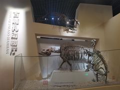 -国家自然博物馆