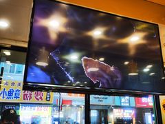 -City1+1城市比萨·意面(桂林路店)