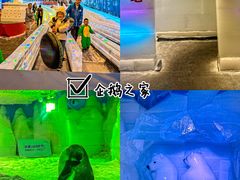 -郑州银基冰雪世界