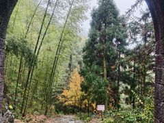 -仙霞关景区