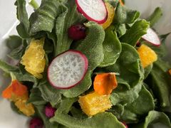 -院里寻菜·精致庭院菜(观沙岭店)