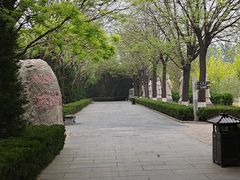 -大槐树寻根祭祖园