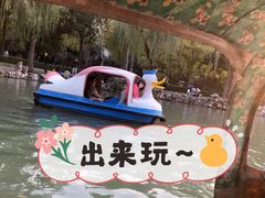 -西苑公园