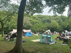 -新洲生态园