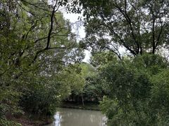 -同里国家湿地公园