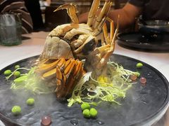 -荟廷·晶萃(陆家嘴尚悦湾店)
