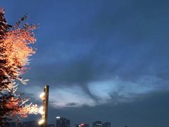 -天鹅湖体育公园