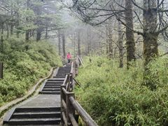 -峨眉山风景名胜区