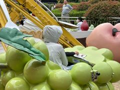 -南京银杏湖乐园