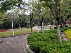 -金砂公园