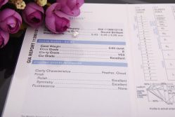 DSC_1564_副本-威德钻石-克拉钻大本营(南京东路店)