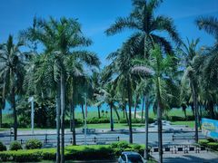 -同禧荟·港味海鲜火锅·粤菜(三亚湾店)