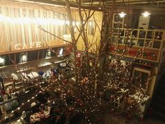 大堂-Cafe Alice咖啡爱丽丝(奥城店)