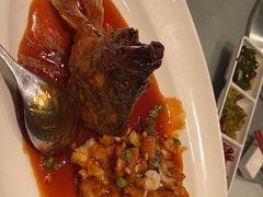 -沪碟·精菜坊(闵行店)