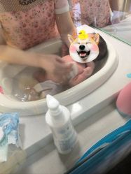 点击看大图 -保丽宝泰母婴护理院·月子中心·产康·中医(常州店)