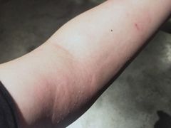 -轻武堂传统射箭·功夫茶·射击体验馆(仁和新城店)