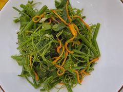 凉拌蕨菜-普天和酒楼·新津菜·烤鸭(天津之眼店)