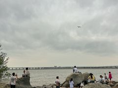 -宝安西湾红树林湿地公园