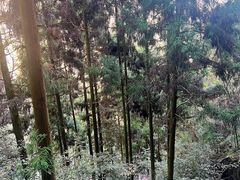 -刘伯温故里景区百丈漈