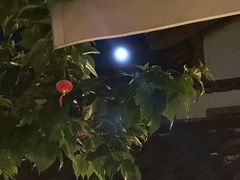 -滇藏石锅宴(崇仁巷老店)