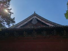 -洛阳白马寺