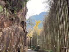 -刘伯温故里景区百丈漈