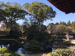 -醍醐寺