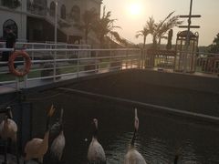 -满汉楼(江畔店)