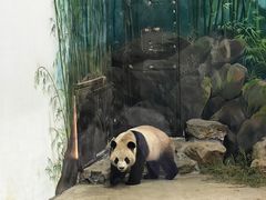 -杭州动物园