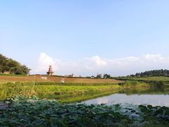 -大塘金香草谷