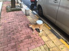 -锅说大脸毛肚重庆老火锅(佐阾店)