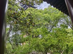 -常熟方塔园