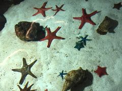 -福州罗源湾海洋世界旅游区