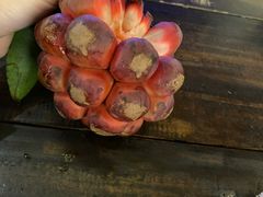 -鸡毛店·川菜(双楠店)