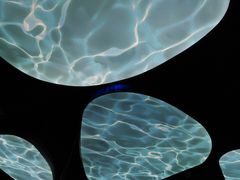 -中国湿地博物馆