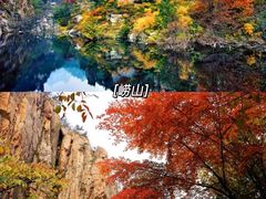 -八大关景区