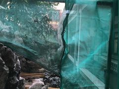 -上海市皮肤病医院(武夷路院区)