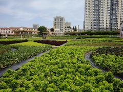 -北国之春国宴(乌兰察布店)