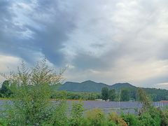 -北京东方普罗旺斯薰衣草庄园