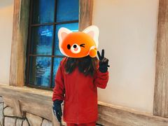 -广州热雪奇迹