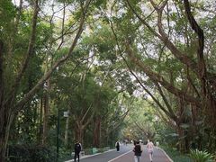-南宁南湖公园