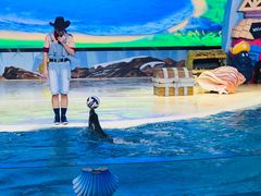 -三亚海昌梦幻海洋不夜城