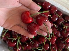 车厘子-百果园(绿城百合店)