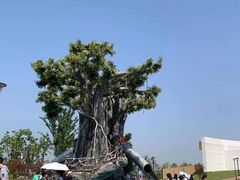 -九龙湖公园
