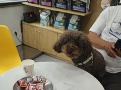 -帕帕拉兹宠物(亚洲旗舰店)